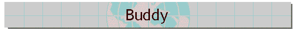 Buddy