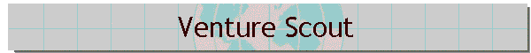 Venture Scout