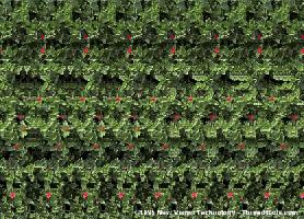 bunnySS.jpg (24627 bytes)